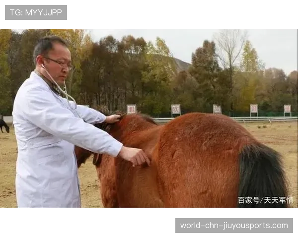 马厩的干草与粪便混合味:马术的代价,马的干粪便中药叫什么 马厩的干草与粪便混合味:马术的代价,马的干粪便中药叫什么